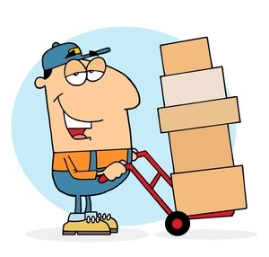 déménageur carton