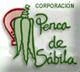 Penca de Sabila